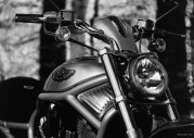 Harley-Davidson XL1200N Nightster